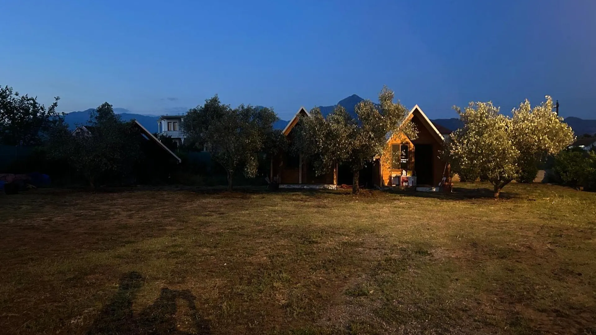 Campsite Camping Tree Olives Shkoder